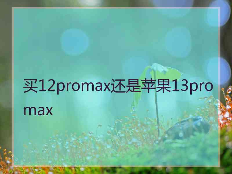 买12promax还是苹果13promax