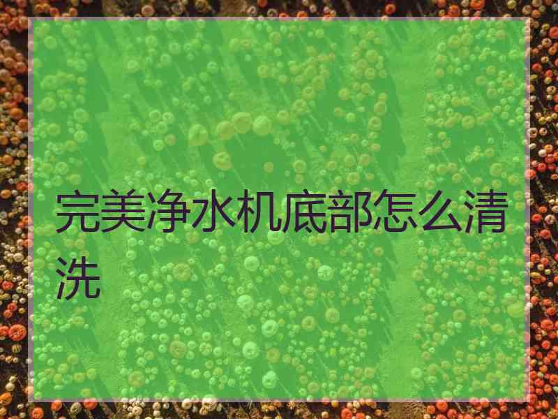 完美净水机底部怎么清洗