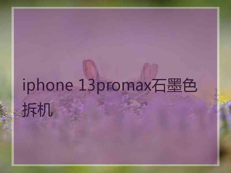 iphone 13promax石墨色拆机