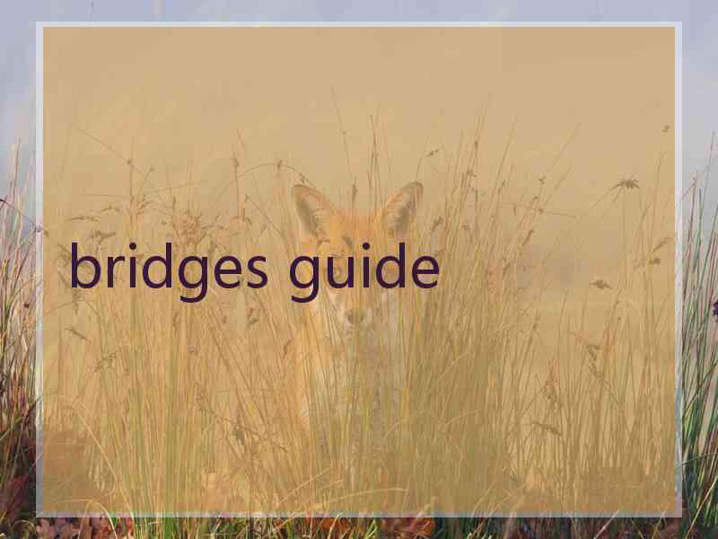 bridges guide