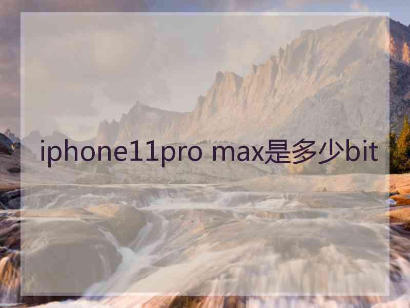 iphone11pro max是多少bit