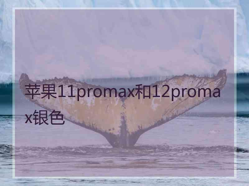 苹果11promax和12promax银色