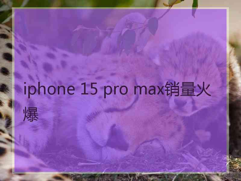 iphone 15 pro max销量火爆