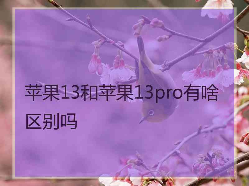 苹果13和苹果13pro有啥区别吗