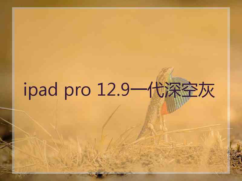 ipad pro 12.9一代深空灰