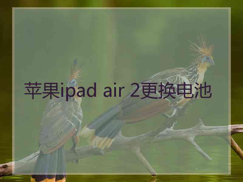 苹果ipad air 2更换电池