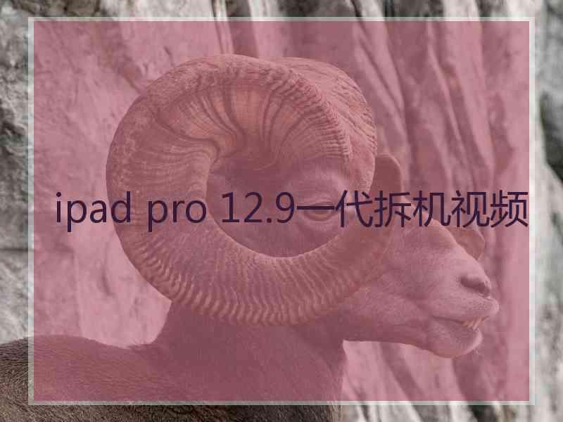 ipad pro 12.9一代拆机视频