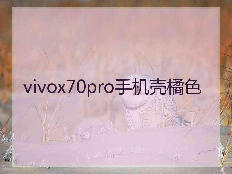 vivox70pro手机壳橘色