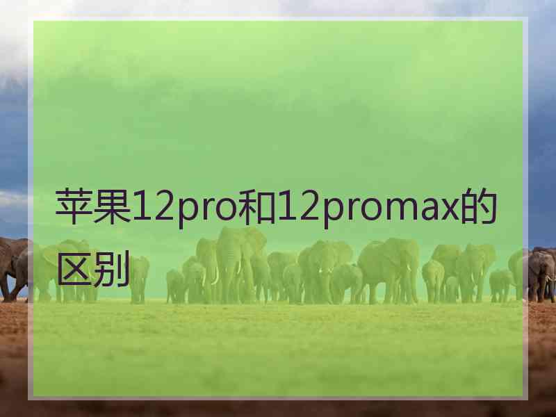 苹果12pro和12promax的区别