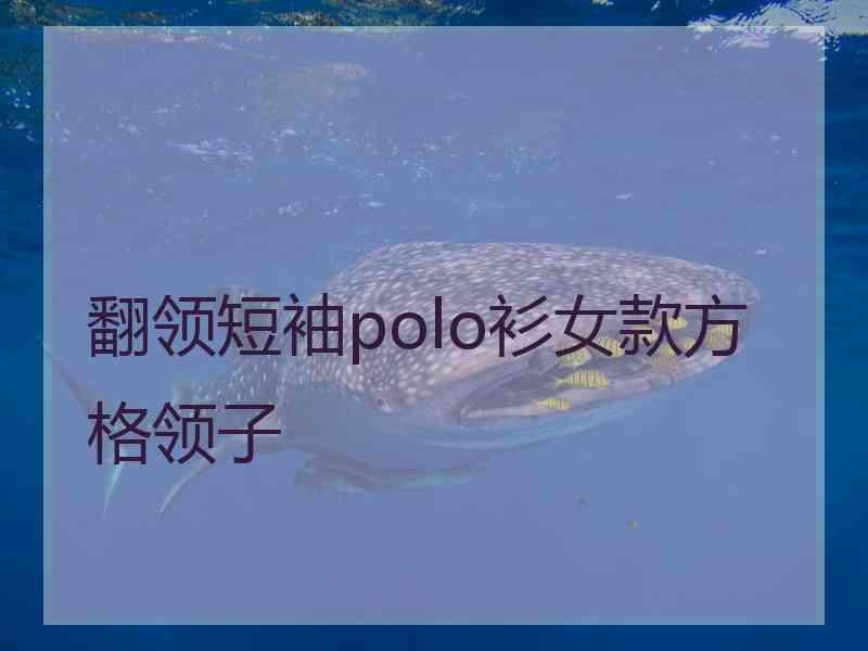 翻领短袖polo衫女款方格领子