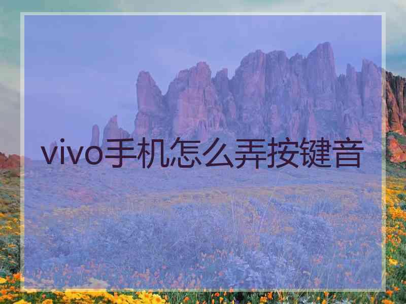 vivo手机怎么弄按键音