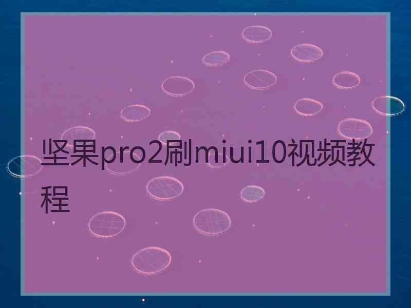 坚果pro2刷miui10视频教程