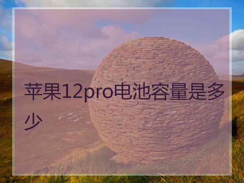 苹果12pro电池容量是多少