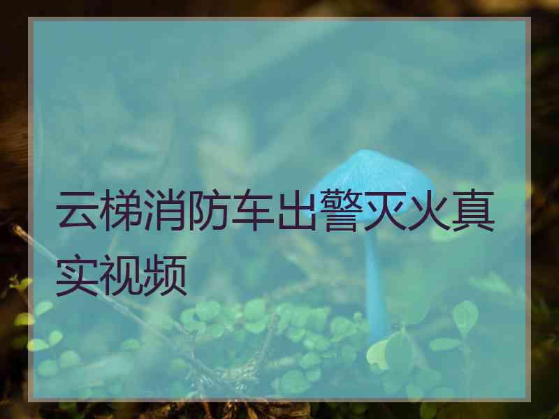 云梯消防车出警灭火真实视频