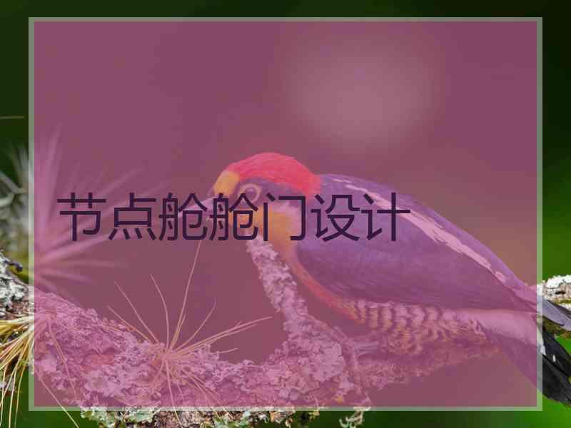 节点舱舱门设计