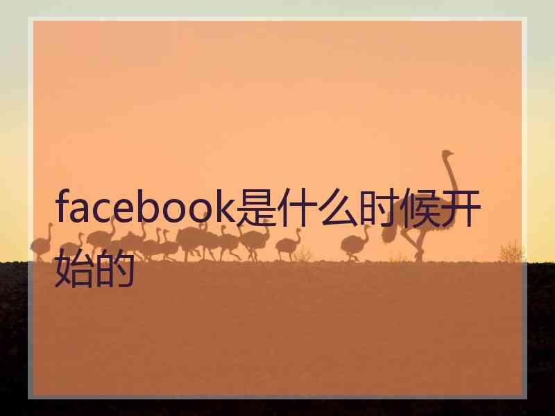 facebook是什么时候开始的