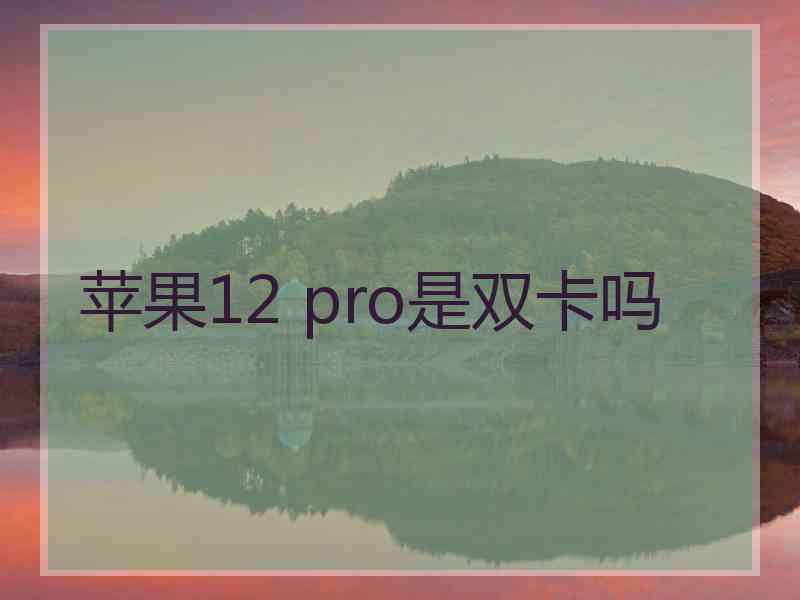 苹果12 pro是双卡吗