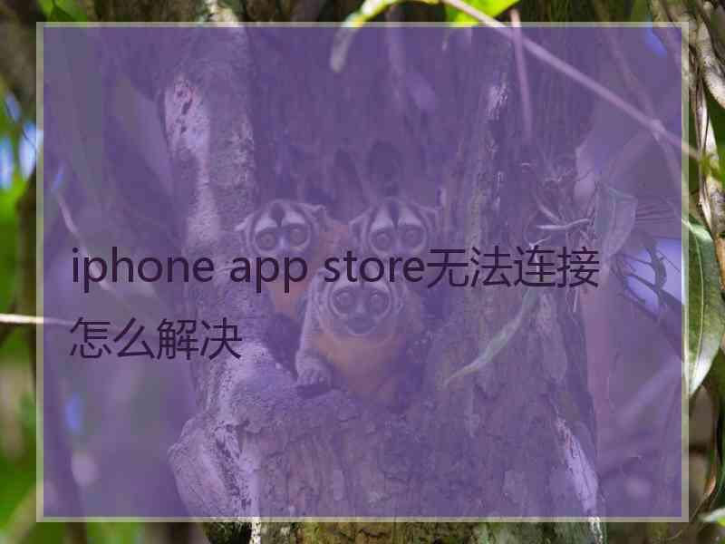 iphone app store无法连接怎么解决