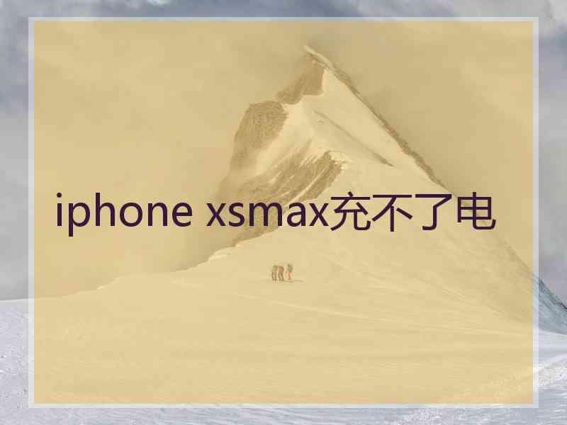 iphone xsmax充不了电