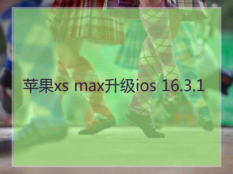 苹果xs max升级ios 16.3.1