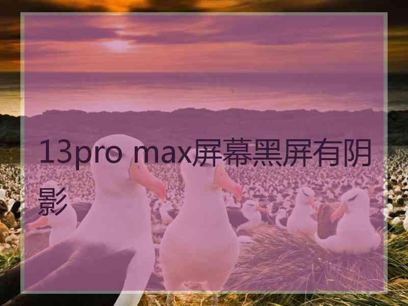 13pro max屏幕黑屏有阴影