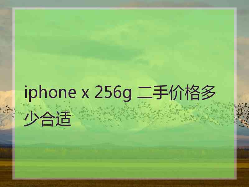 iphone x 256g 二手价格多少合适