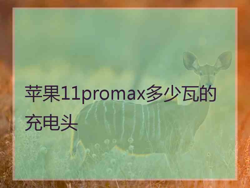 苹果11promax多少瓦的充电头