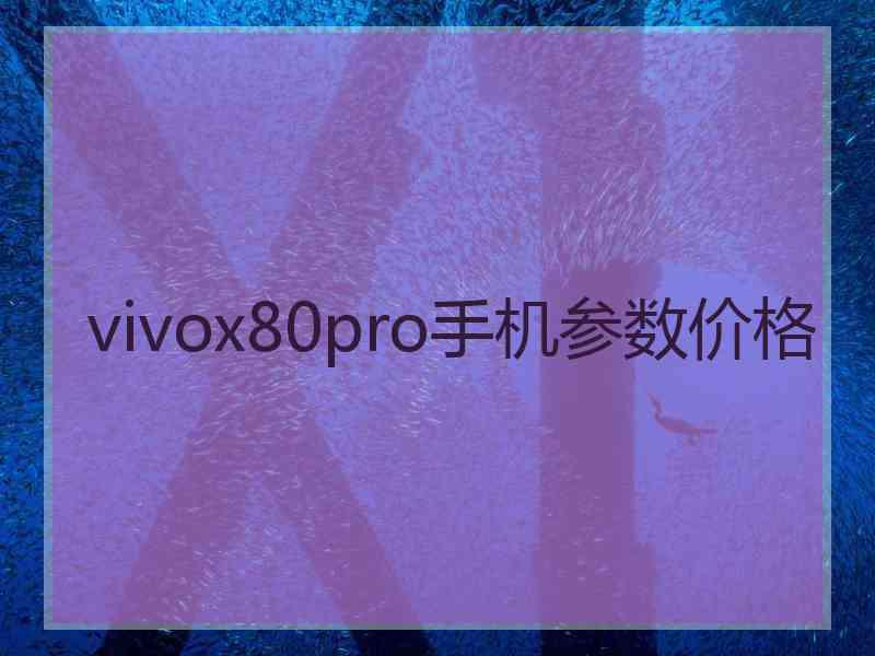 vivox80pro手机参数价格