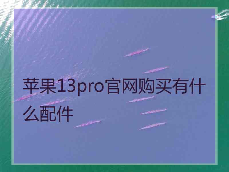 苹果13pro官网购买有什么配件