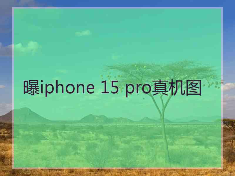 曝iphone 15 pro真机图