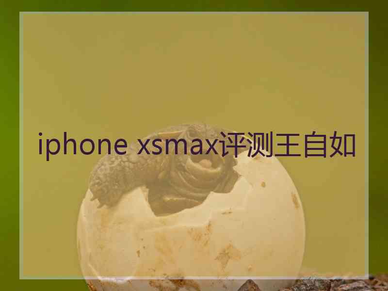 iphone xsmax评测王自如