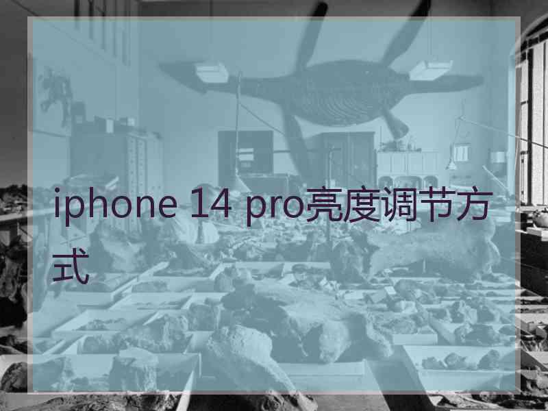 iphone 14 pro亮度调节方式