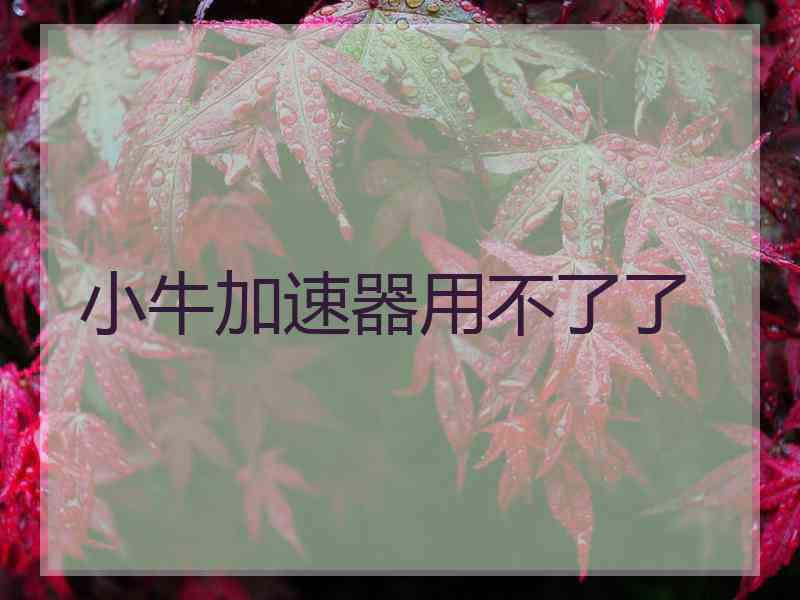 小牛加速器用不了了