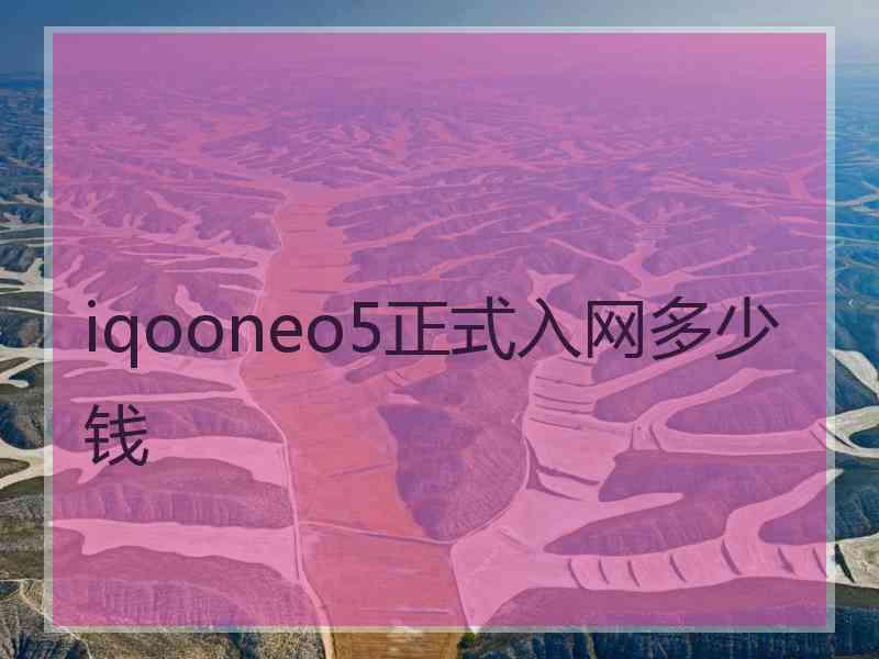 iqooneo5正式入网多少钱