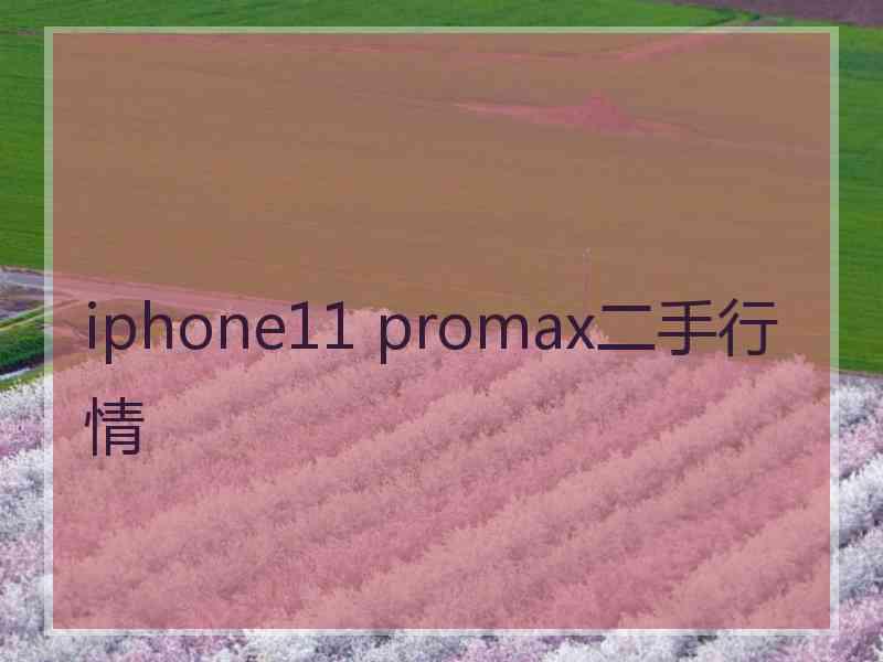 iphone11 promax二手行情