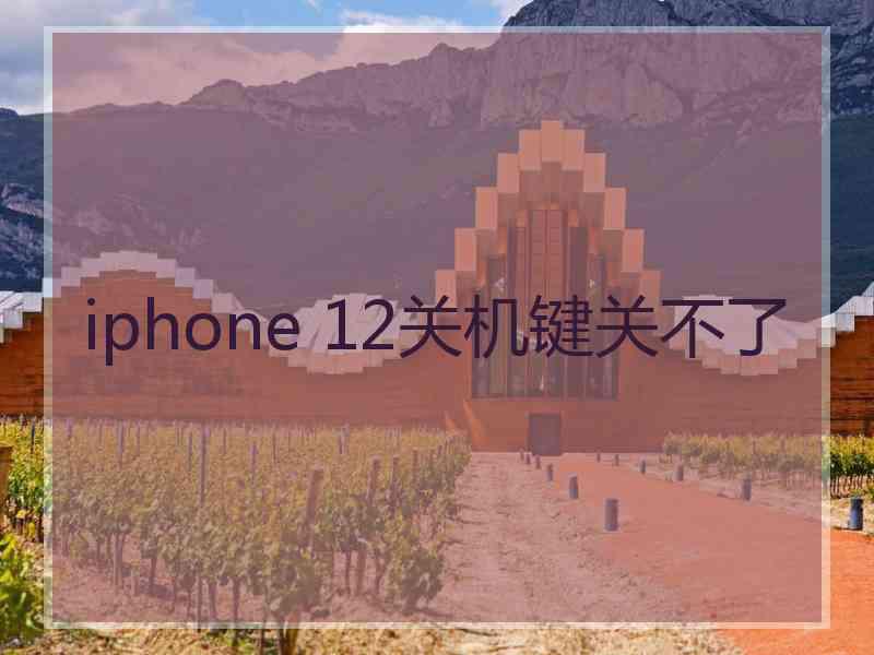 iphone 12关机键关不了