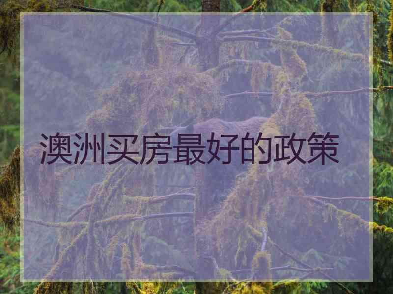 澳洲买房最好的政策