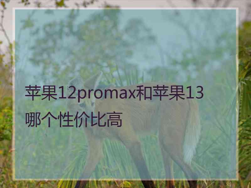 苹果12promax和苹果13哪个性价比高