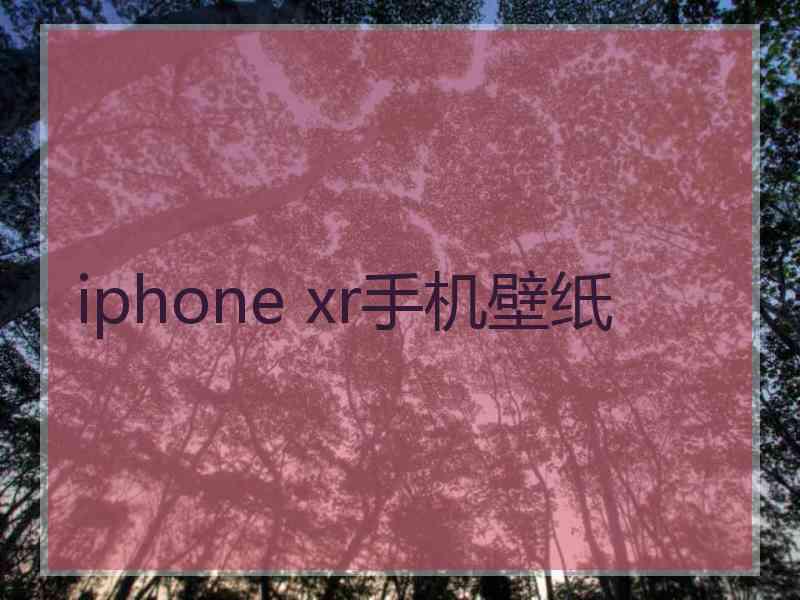 iphone xr手机壁纸