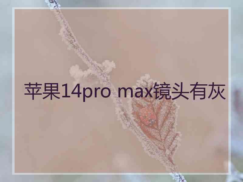 苹果14pro max镜头有灰