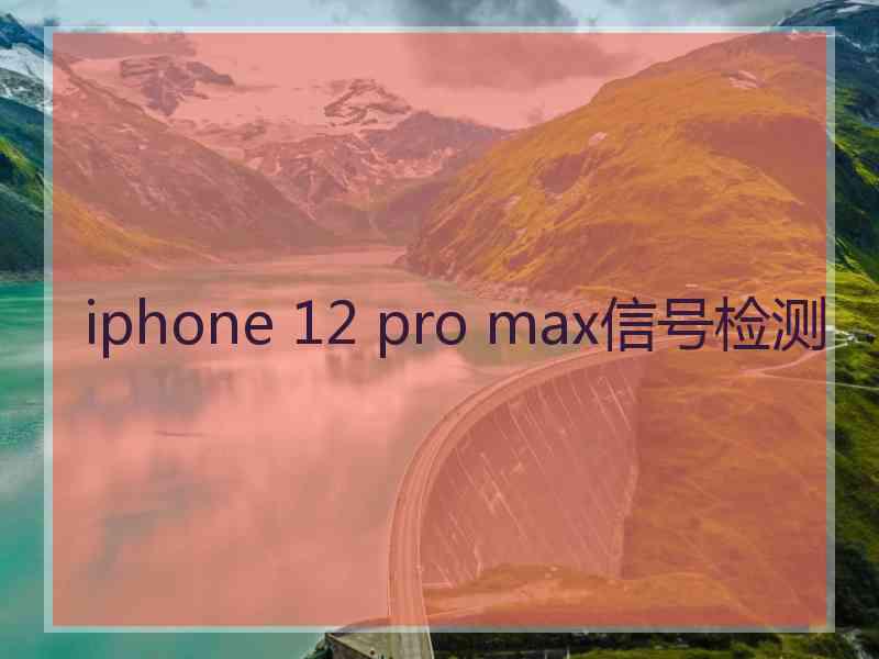 iphone 12 pro max信号检测