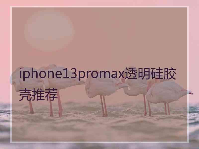 iphone13promax透明硅胶壳推荐