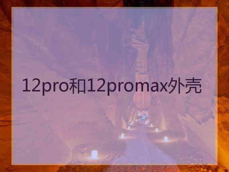 12pro和12promax外壳