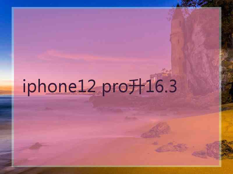 iphone12 pro升16.3