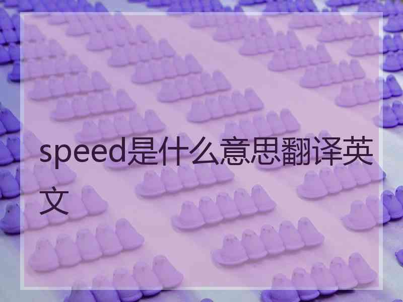 speed是什么意思翻译英文