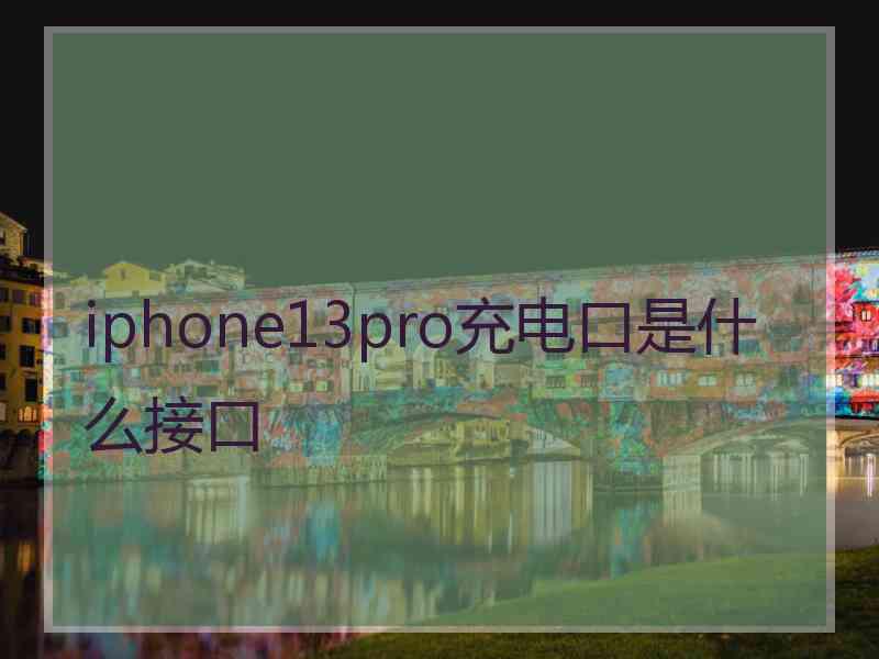 iphone13pro充电口是什么接口