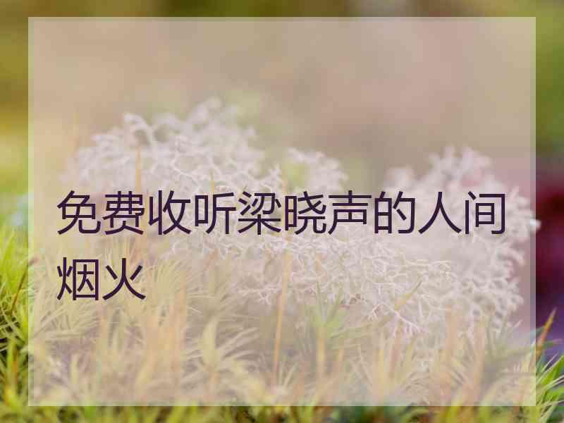 免费收听梁晓声的人间烟火