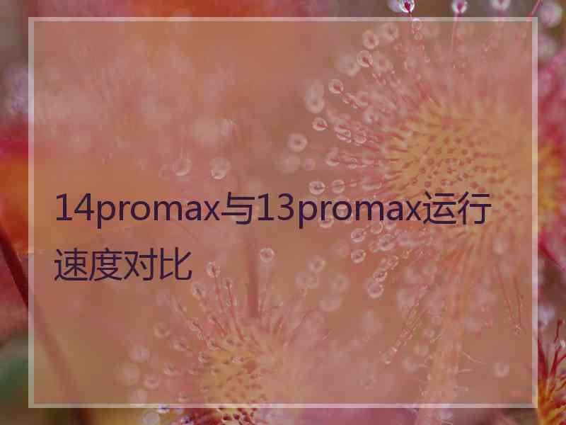 14promax与13promax运行速度对比