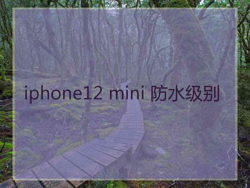 iphone12 mini 防水级别