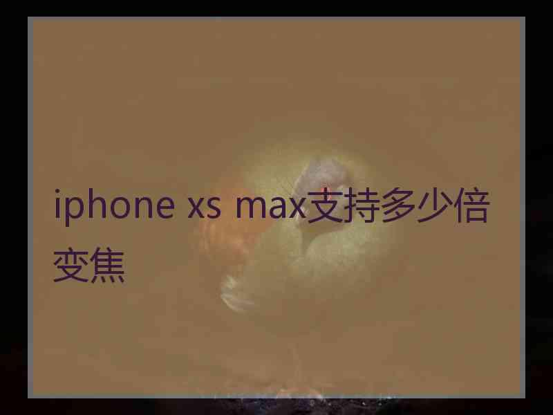 iphone xs max支持多少倍变焦